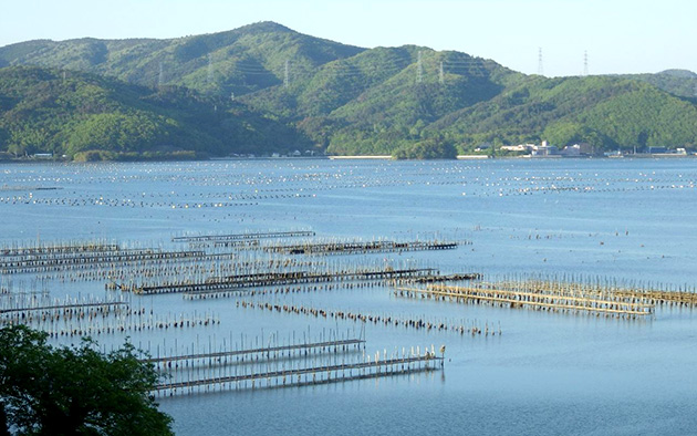 牡鹿半島・女川巡検